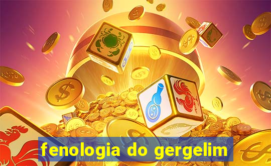 fenologia do gergelim